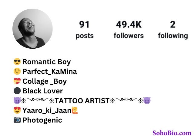 Artist Bio For Instagram