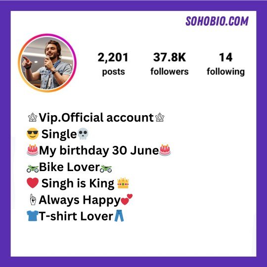 Instagram VIP Bio Stylish Font