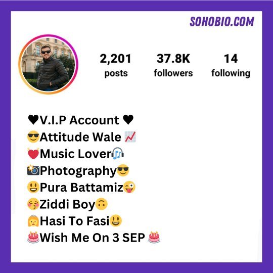 Instagram VIP Bio Stylish Font