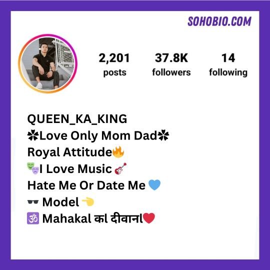 Instagram VIP Bio Stylish Font