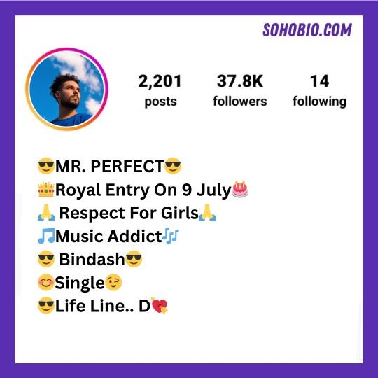 Instagram VIP Bio Stylish Font