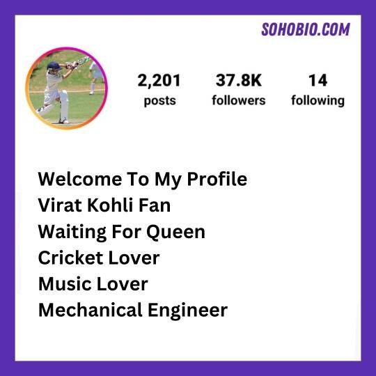 instagram bio for cricket lovers