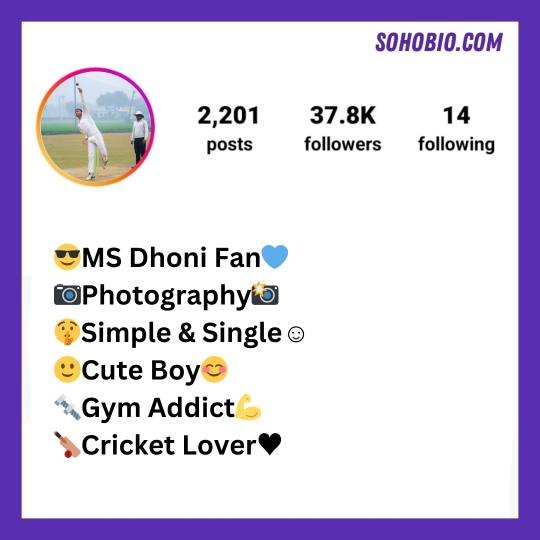 instagram bio for cricket lovers