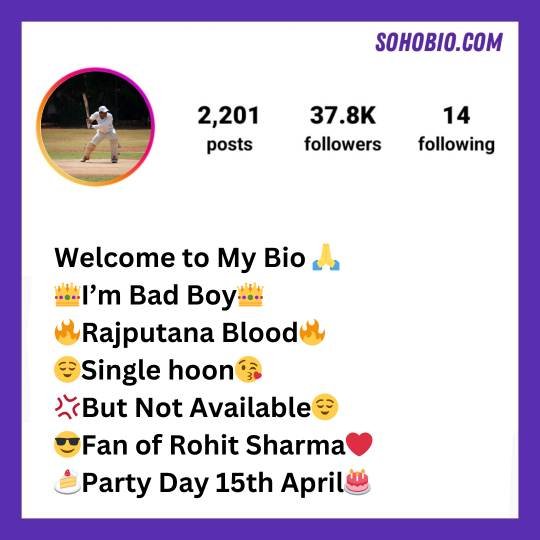 instagram bio for cricket lovers