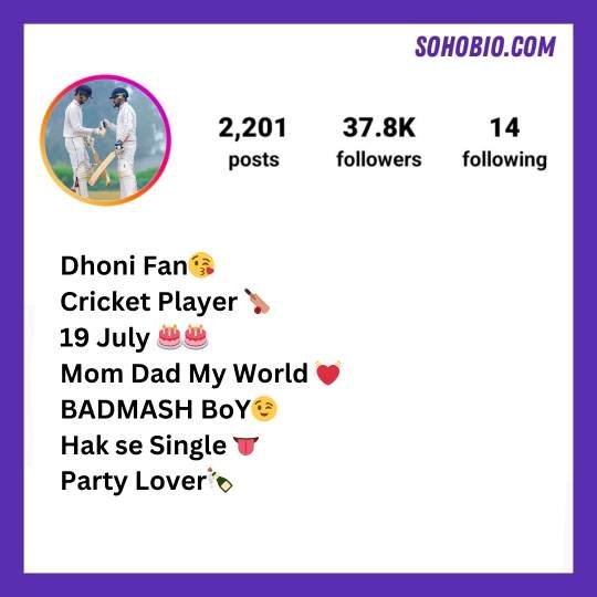 instagram bio for cricket lovers